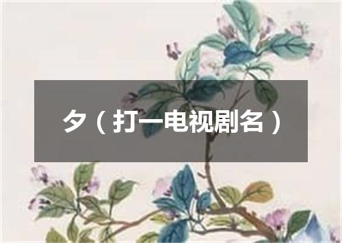 夕（打一电视剧名）