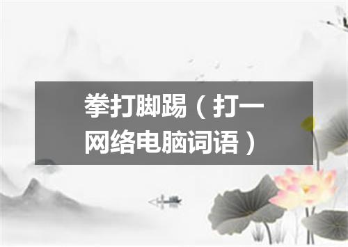拳打脚踢（打一网络电脑词语）