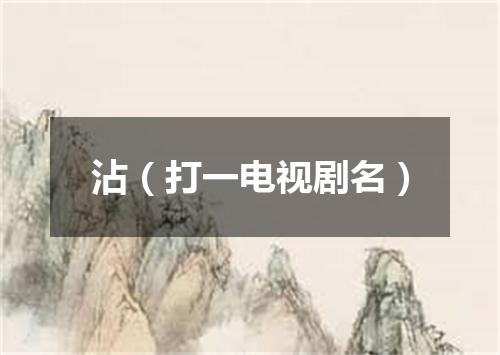沾（打一电视剧名）