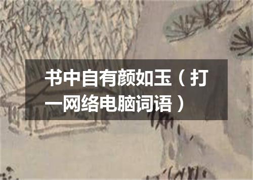 书中自有颜如玉（打一网络电脑词语）