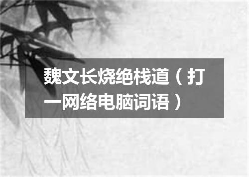 魏文长烧绝栈道（打一网络电脑词语）