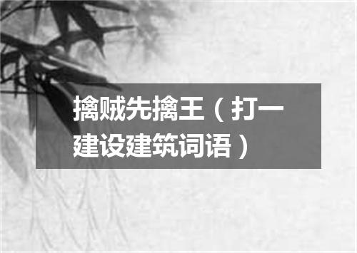 擒贼先擒王（打一建设建筑词语）