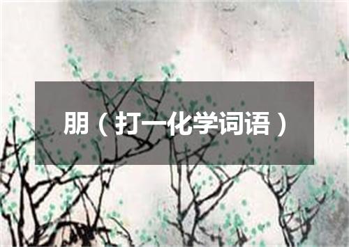 朋（打一化学词语）