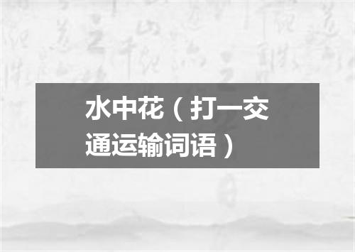 水中花（打一交通运输词语）