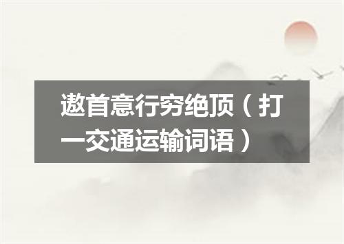 遨首意行穷绝顶（打一交通运输词语）