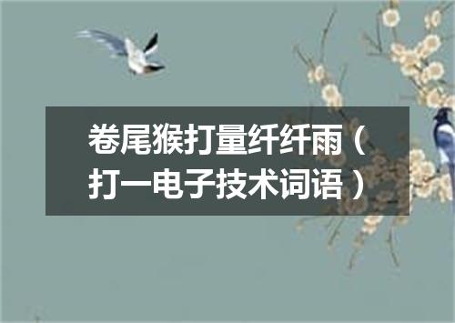 卷尾猴打量纤纤雨（打一电子技术词语）