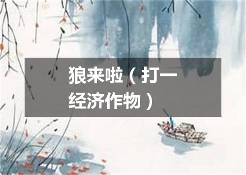 狼来啦（打一经济作物）
