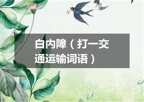 白内障（打一交通运输词语）