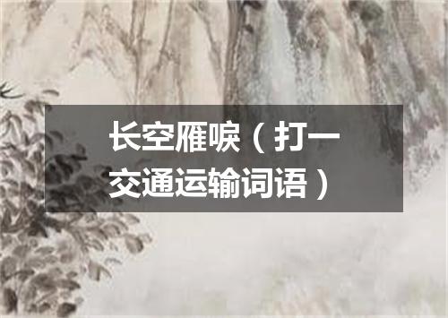 长空雁唳（打一交通运输词语）