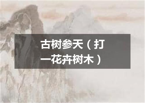 古树参天（打一花卉树木）