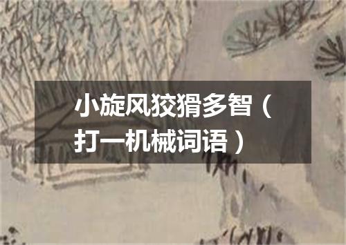 小旋风狡猾多智（打一机械词语）