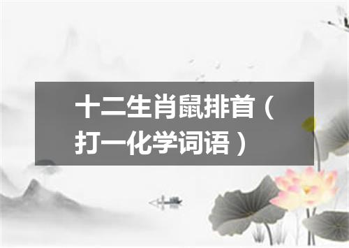 十二生肖鼠排首（打一化学词语）