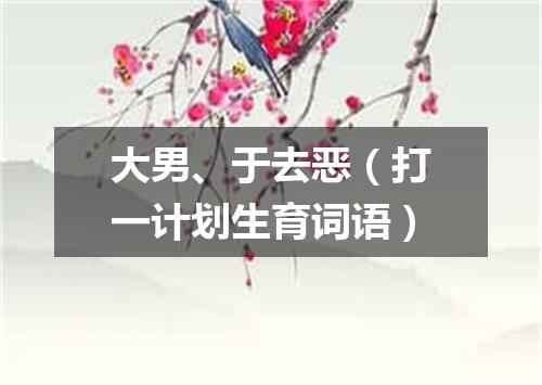大男、于去恶（打一计划生育词语）
