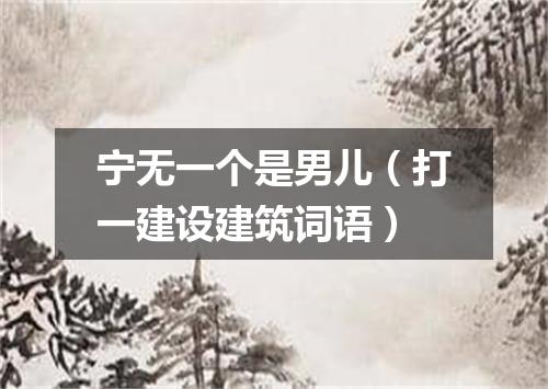 宁无一个是男儿（打一建设建筑词语）
