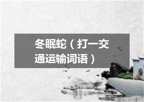 冬眠蛇（打一交通运输词语）