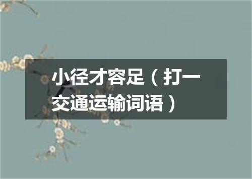 小径才容足（打一交通运输词语）