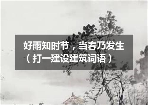 好雨知时节，当春乃发生（打一建设建筑词语）