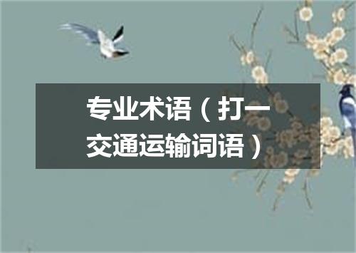 专业术语（打一交通运输词语）