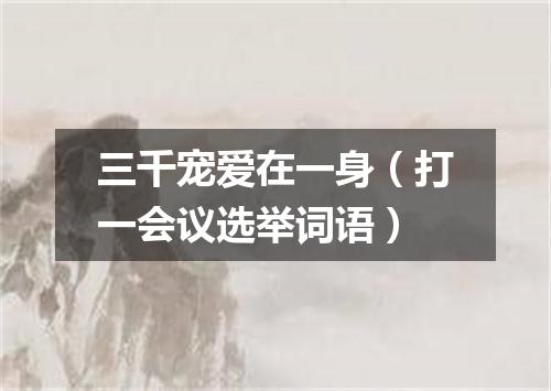 三千宠爱在一身（打一会议选举词语）