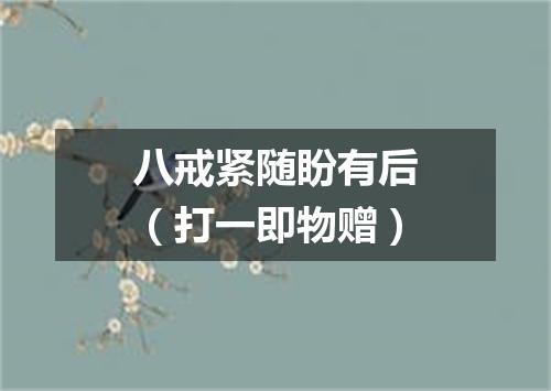 八戒紧随盼有后（打一即物赠）
