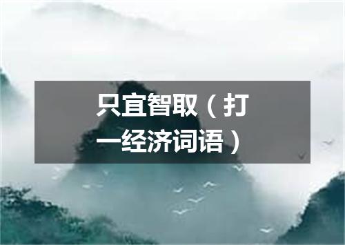 只宜智取（打一经济词语）