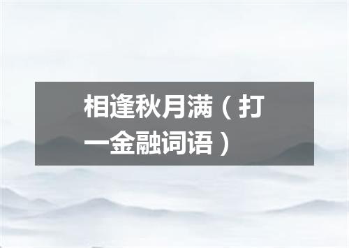 相逢秋月满（打一金融词语）