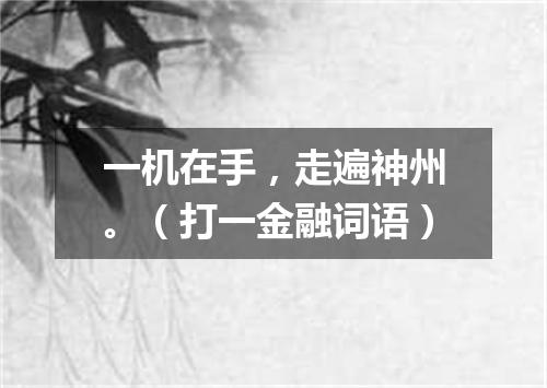 一机在手，走遍神州。（打一金融词语）