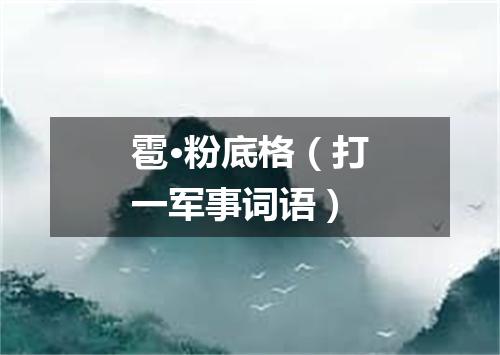 雹·粉底格（打一军事词语）
