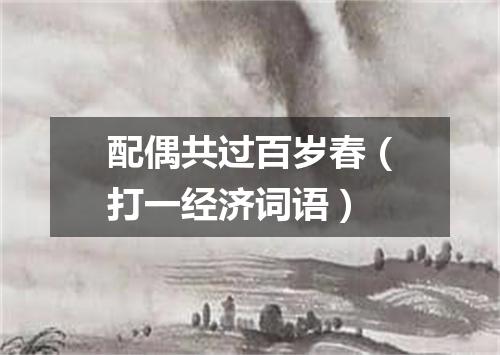 配偶共过百岁春（打一经济词语）