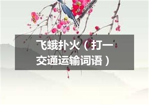 飞蛾扑火（打一交通运输词语）