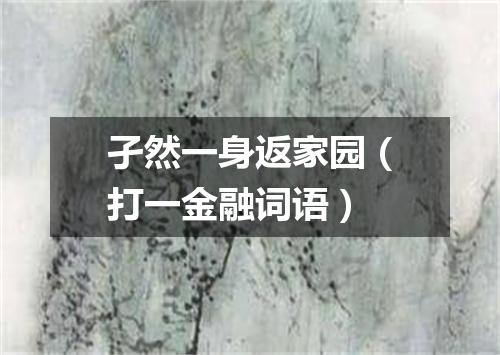 孑然一身返家园（打一金融词语）