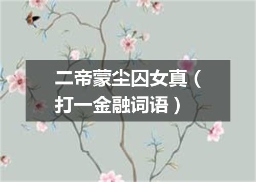 二帝蒙尘囚女真（打一金融词语）