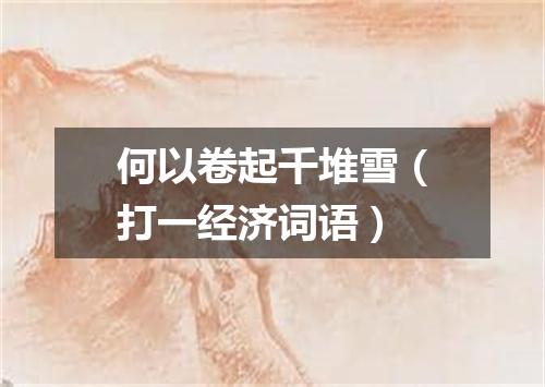 何以卷起千堆雪（打一经济词语）