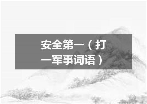安全第一（打一军事词语）