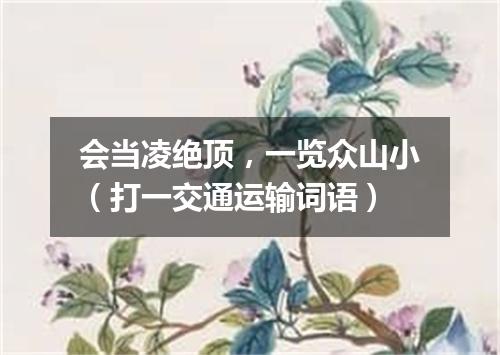 会当凌绝顶，一览众山小（打一交通运输词语）