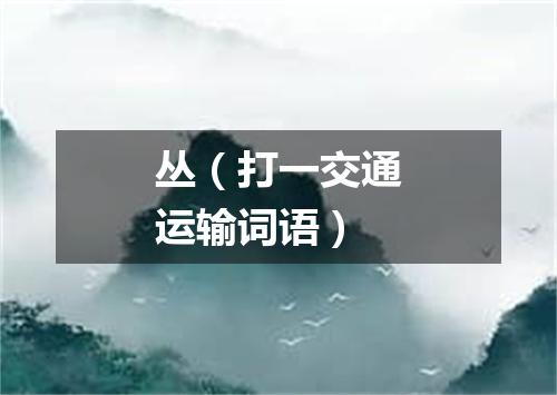丛（打一交通运输词语）