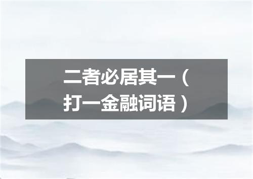 二者必居其一（打一金融词语）