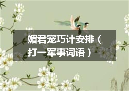 媚君宠巧计安排（打一军事词语）