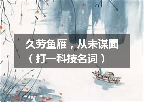 久劳鱼雁，从未谋面（打一科技名词）