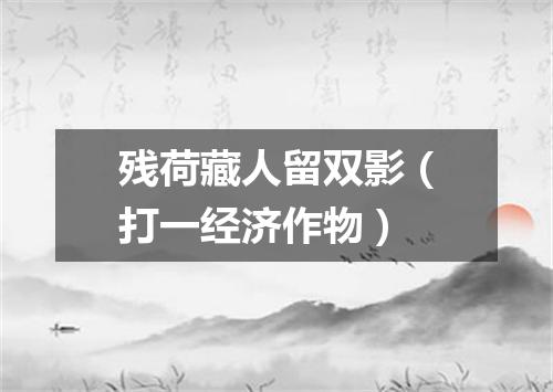 残荷藏人留双影（打一经济作物）