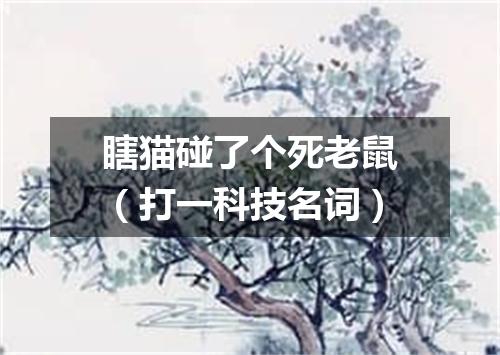 瞎猫碰了个死老鼠（打一科技名词）
