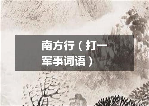南方行（打一军事词语）