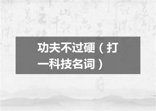 功夫不过硬（打一科技名词）