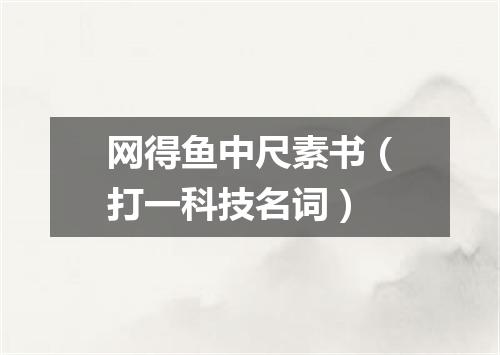 网得鱼中尺素书（打一科技名词）
