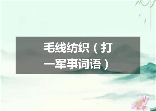 毛线纺织（打一军事词语）