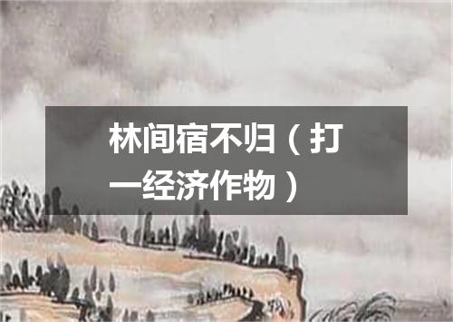 林间宿不归（打一经济作物）