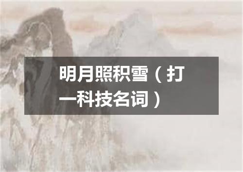 明月照积雪（打一科技名词）