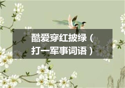 酷爱穿红披绿（打一军事词语）