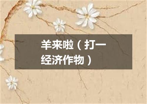 羊来啦（打一经济作物）