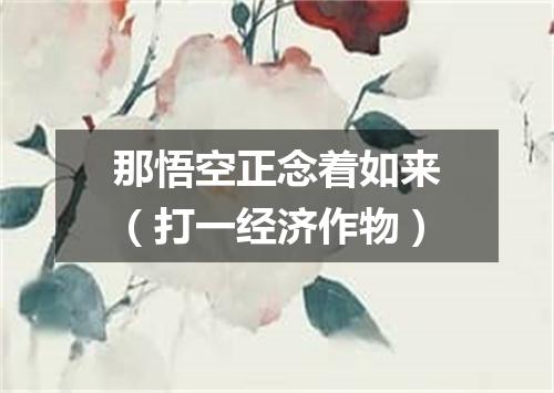 那悟空正念着如来（打一经济作物）